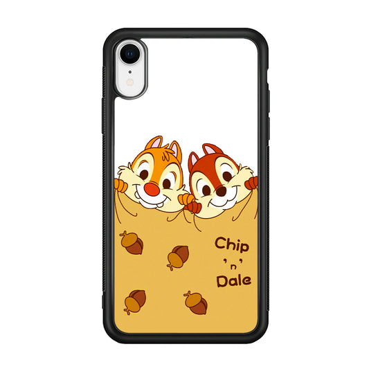 Chip And Dale Winter Blanket iPhone XR Case