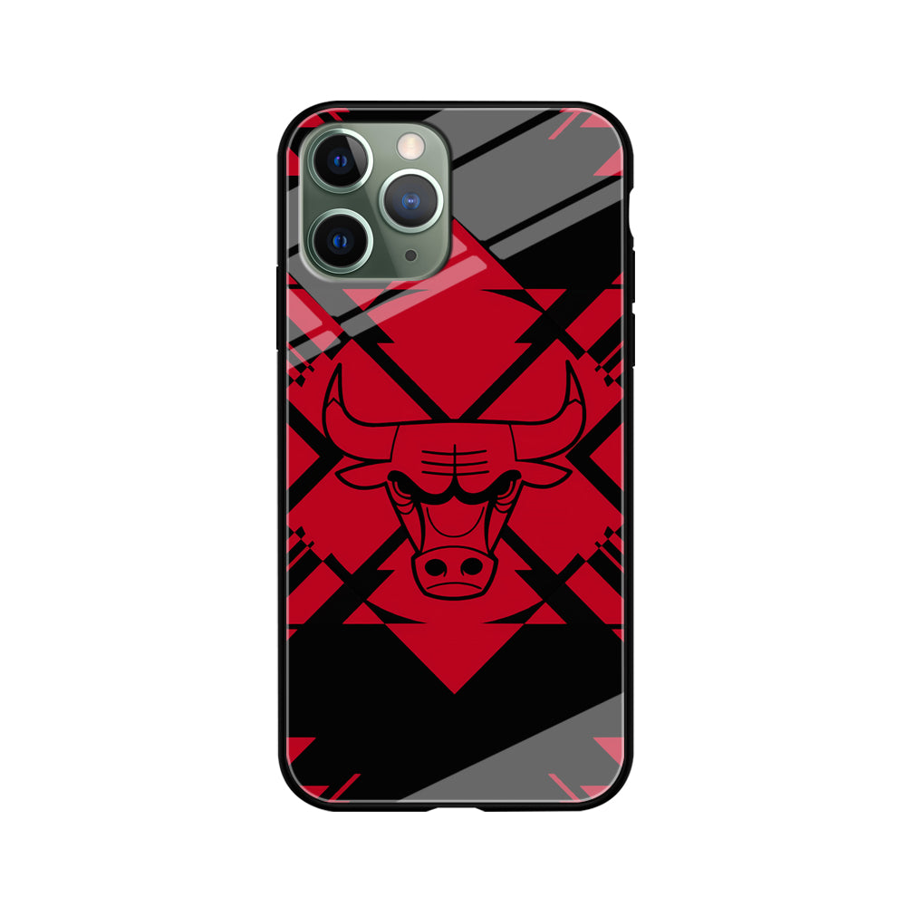 Chicago Bulls Aesthetic Shapes iPhone 11 Pro Case
