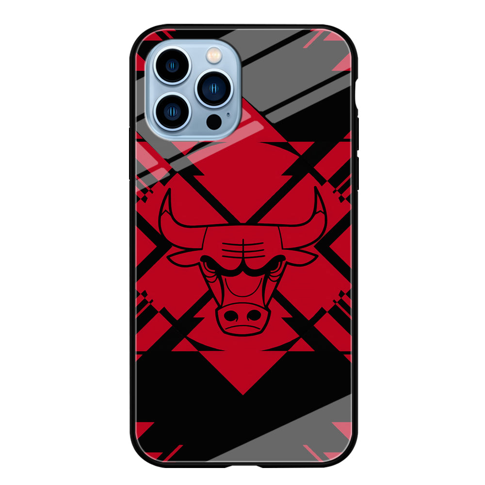 Chicago Bulls Aesthetic Shapes iPhone 14 Pro Case