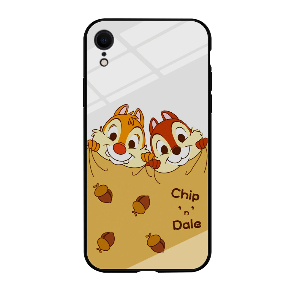 Chip And Dale Winter Blanket iPhone XR Case