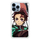 Kimetsu No Yaiba Tanjiro iPhone 14 Pro Max Case