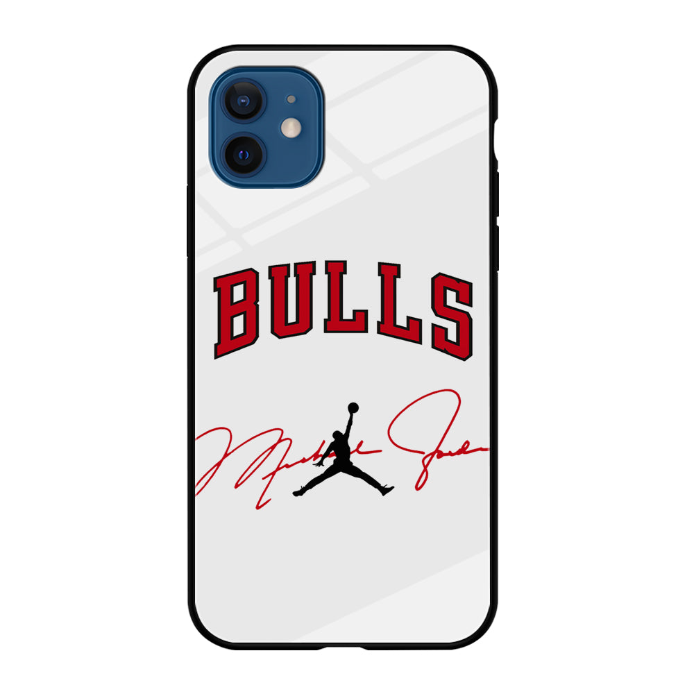 Air Jordan Chicago Bulls Signature iPhone 12 Case