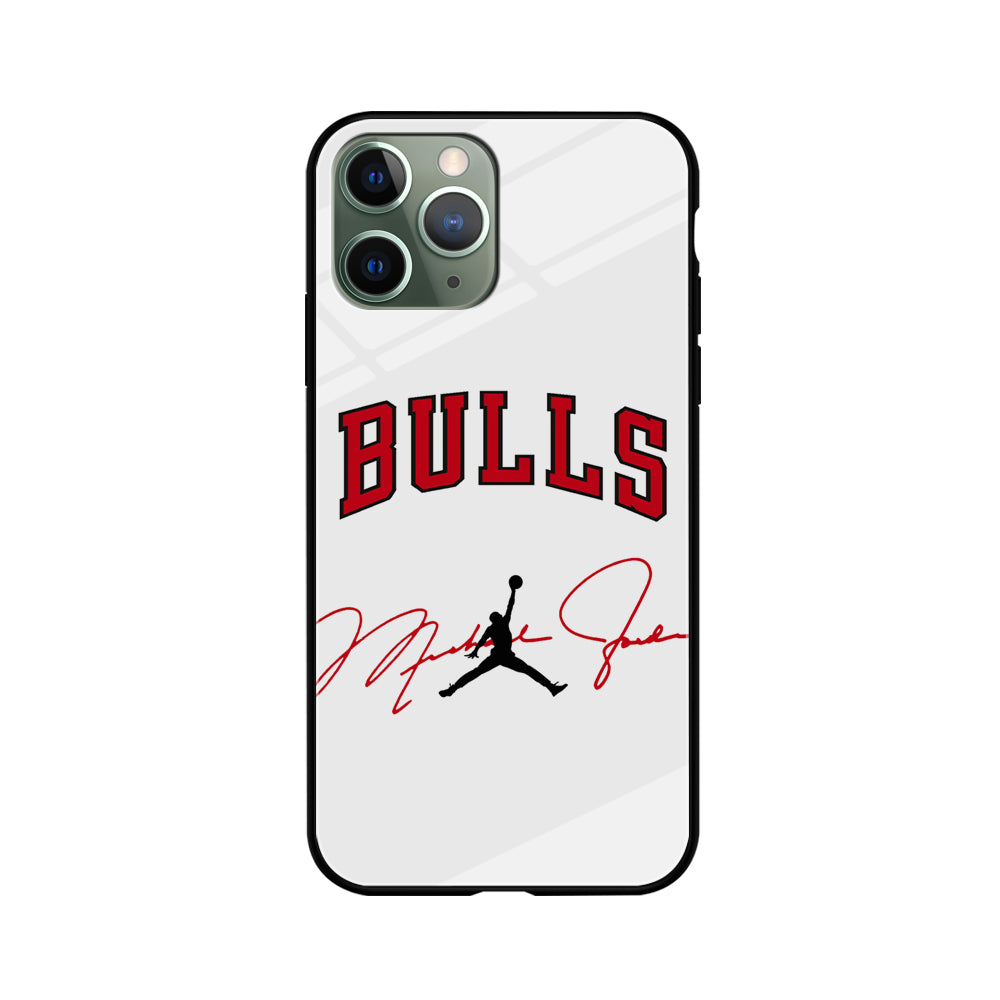 Air Jordan Chicago Bulls Signature iPhone 11 Pro Max Case