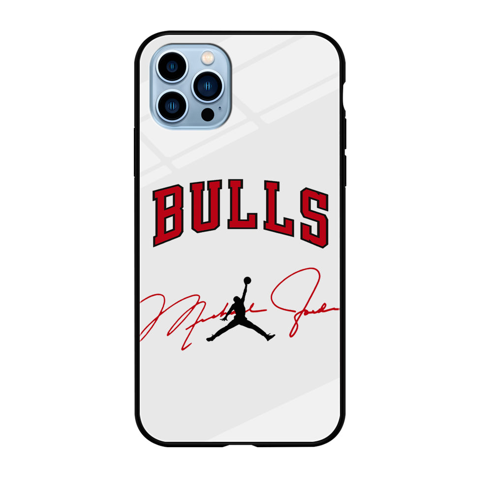 Air Jordan Chicago Bulls Signature iPhone 12 Pro Case