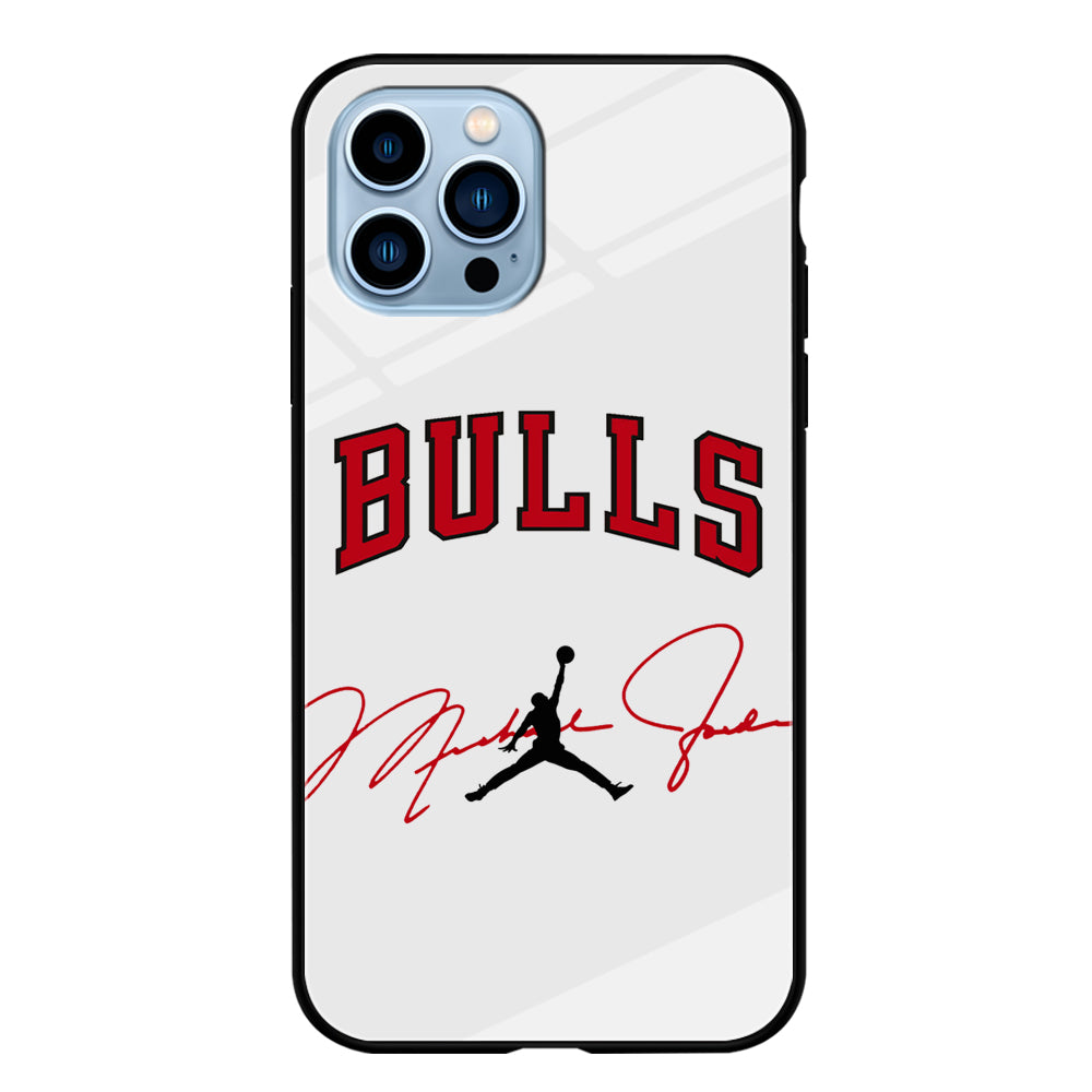 Air Jordan Chicago Bulls Signature iPhone 13 Pro Max Case