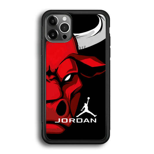 Air Jordan Icon Of Chicago Bulls iPhone 12 Pro Case