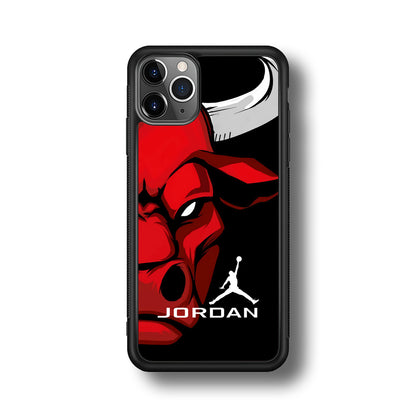 Air Jordan Icon Of Chicago Bulls iPhone 11 Pro Max Case