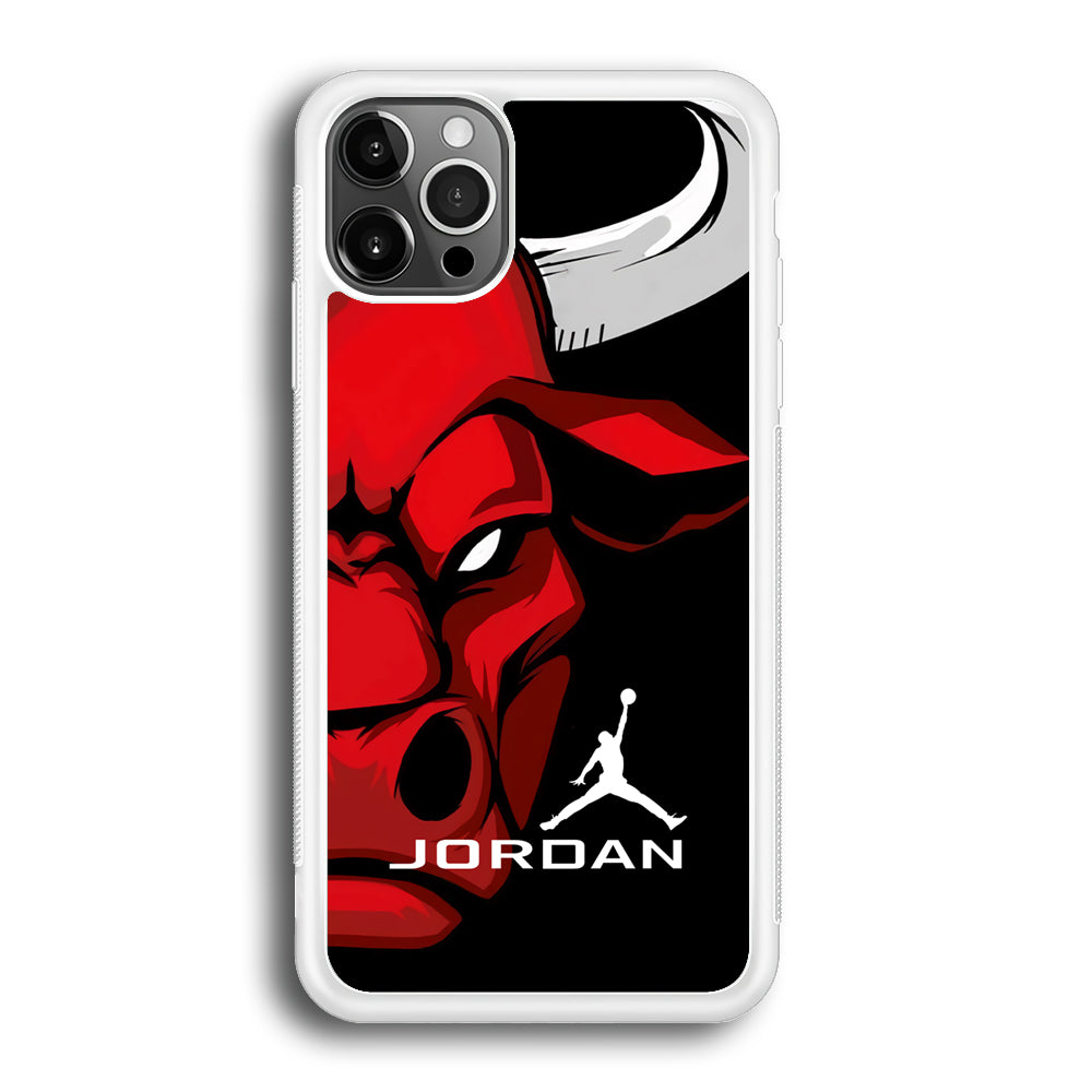 Air Jordan Icon Of Chicago Bulls iPhone 12 Pro Case