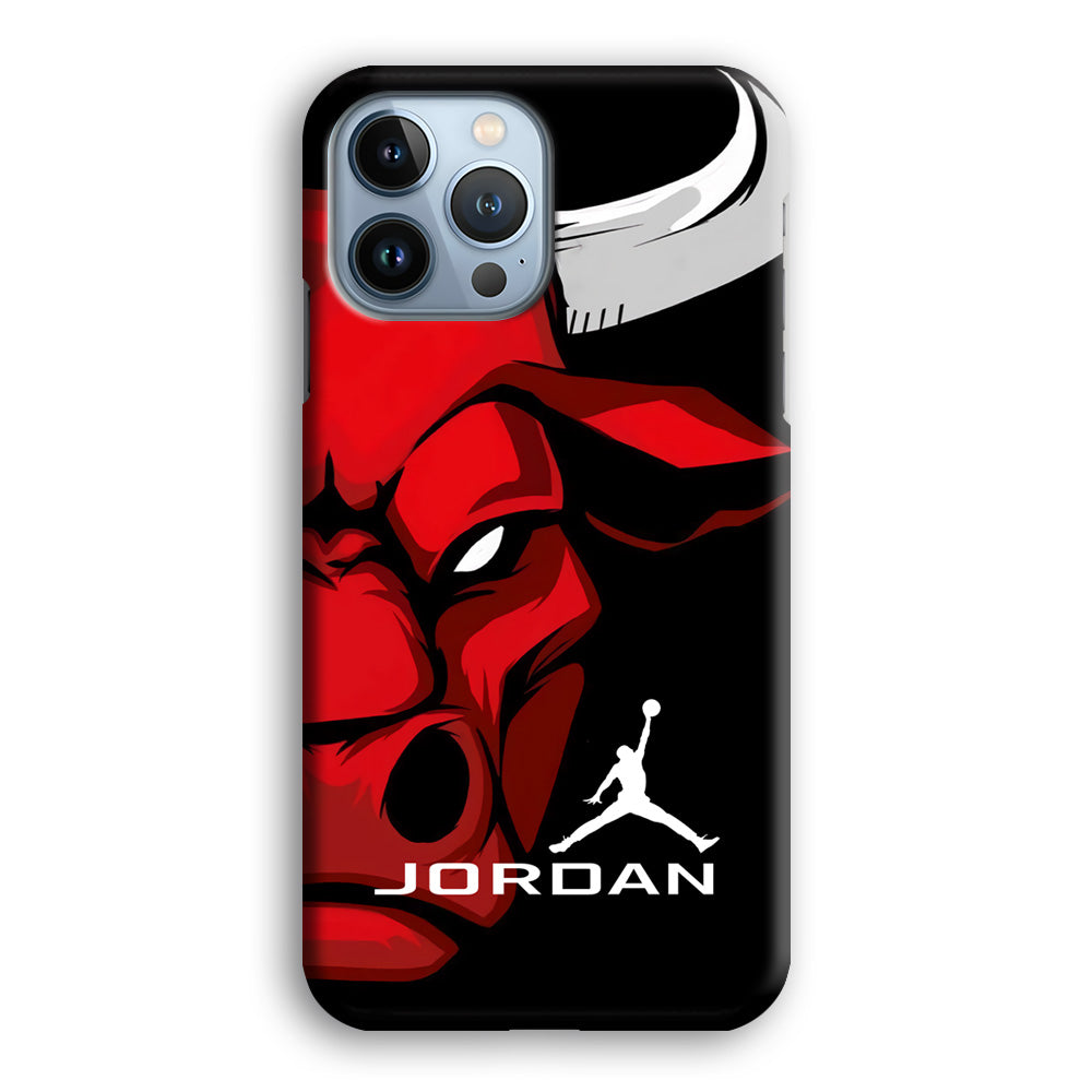 Air Jordan Icon Of Chicago Bulls iPhone 13 Pro Case