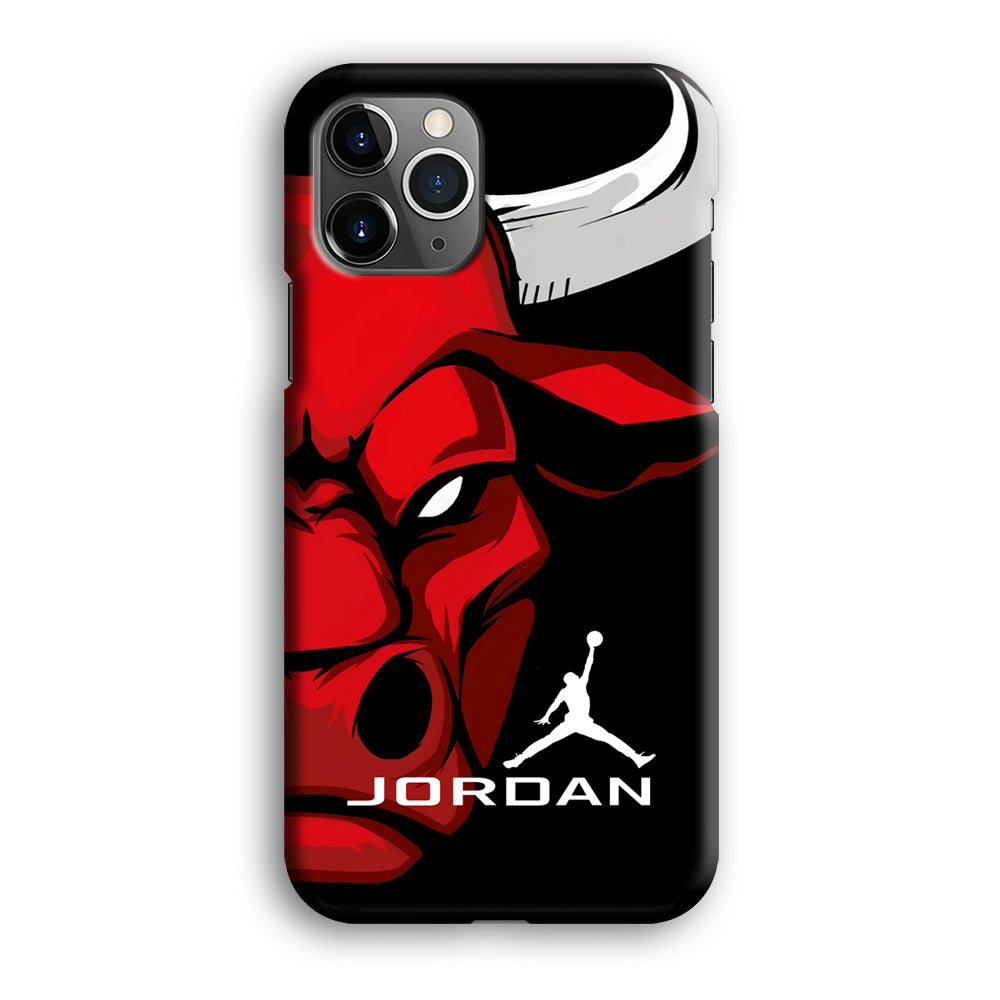 Air Jordan Icon Of Chicago Bulls iPhone 12 Pro Case