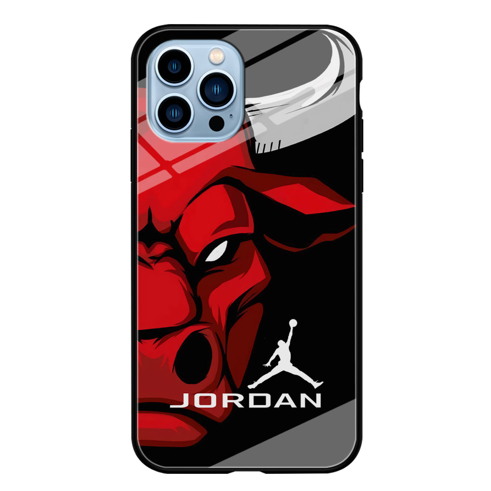 Air Jordan Icon Of Chicago Bulls iPhone 13 Pro Max Case