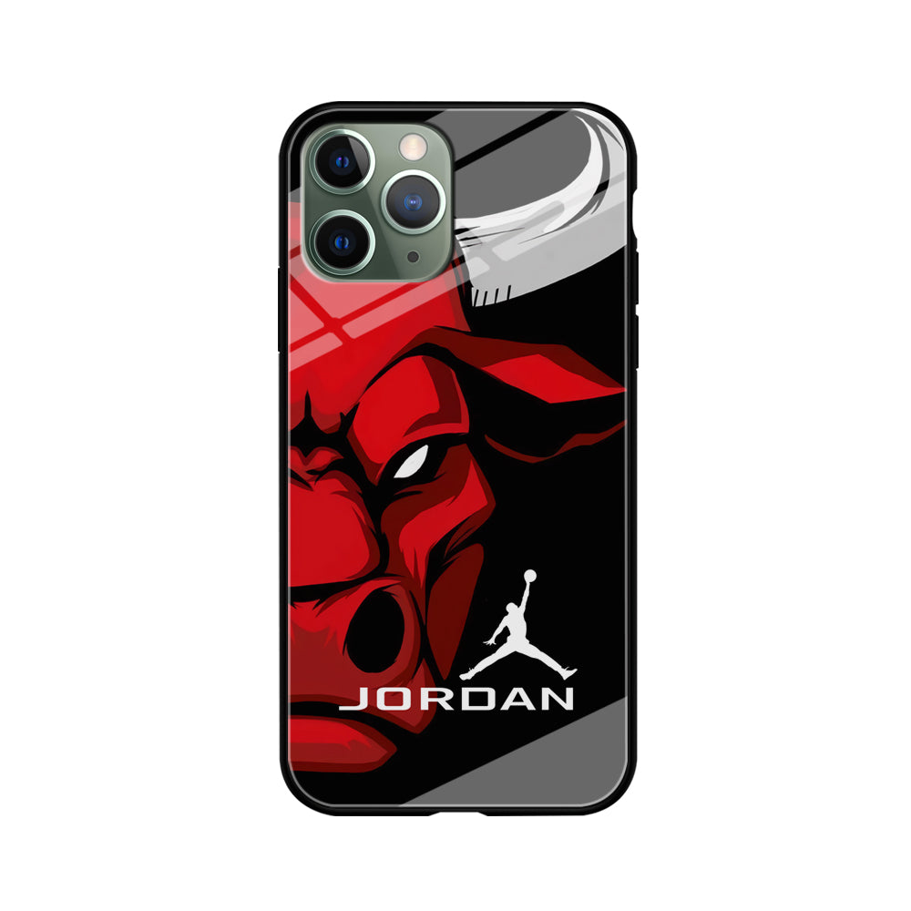 Air Jordan Icon Of Chicago Bulls iPhone 11 Pro Max Case