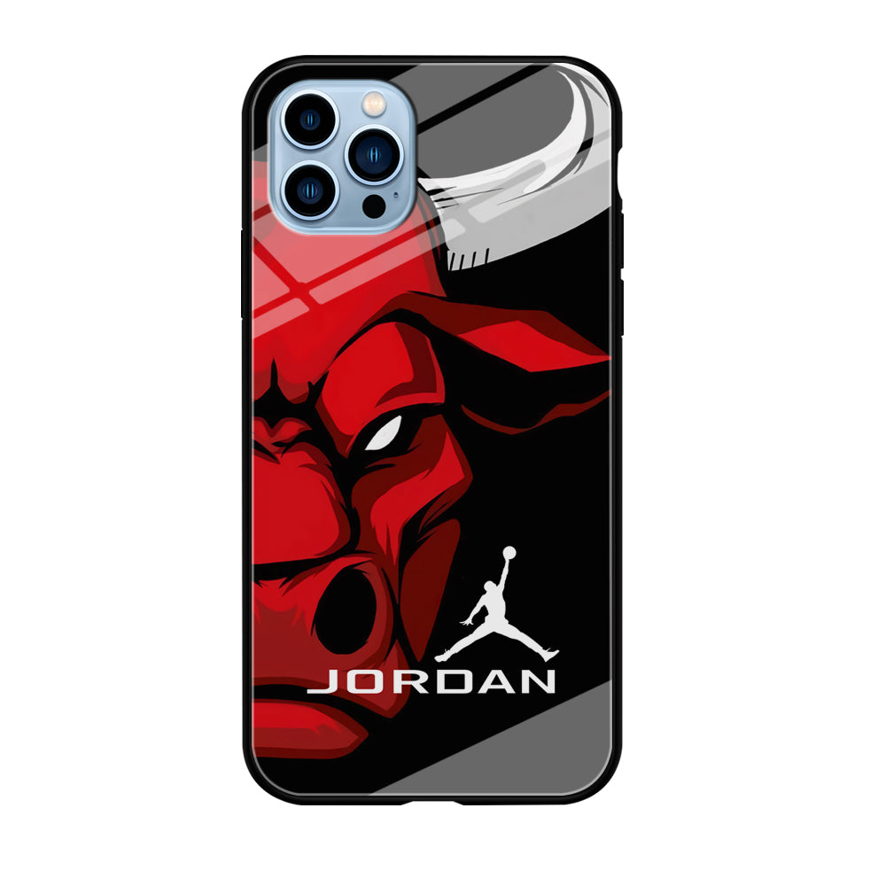 Air Jordan Icon Of Chicago Bulls iPhone 12 Pro Case