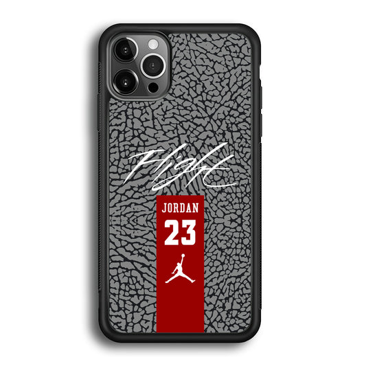 Air Jordan Take The Flight iPhone 12 Pro Max Case
