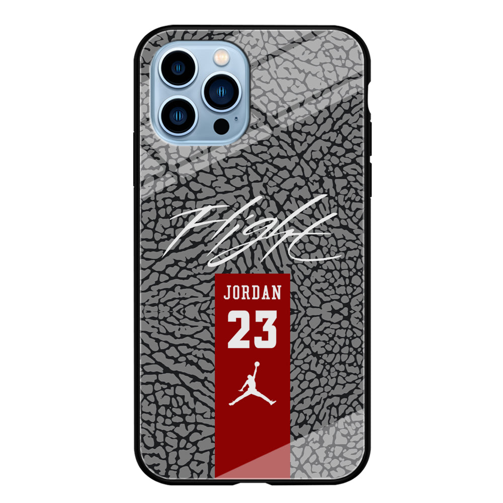 Air Jordan Take The Flight iPhone 13 Pro Case