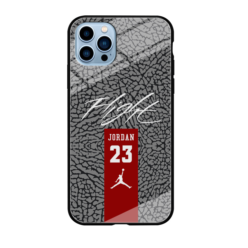 Air Jordan Take The Flight iPhone 12 Pro Case