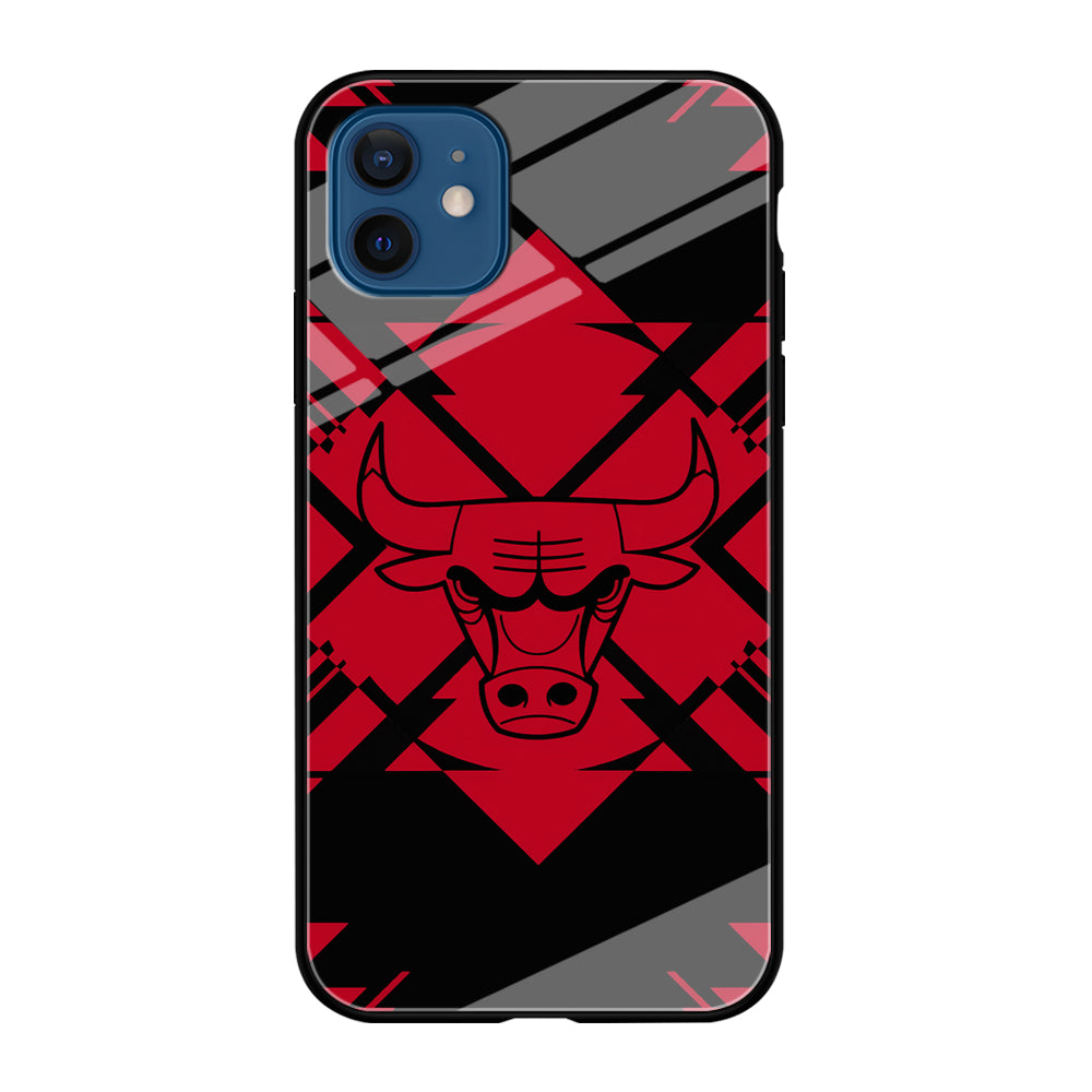 Chicago Bulls Aesthetic Shapes iPhone 12 Case