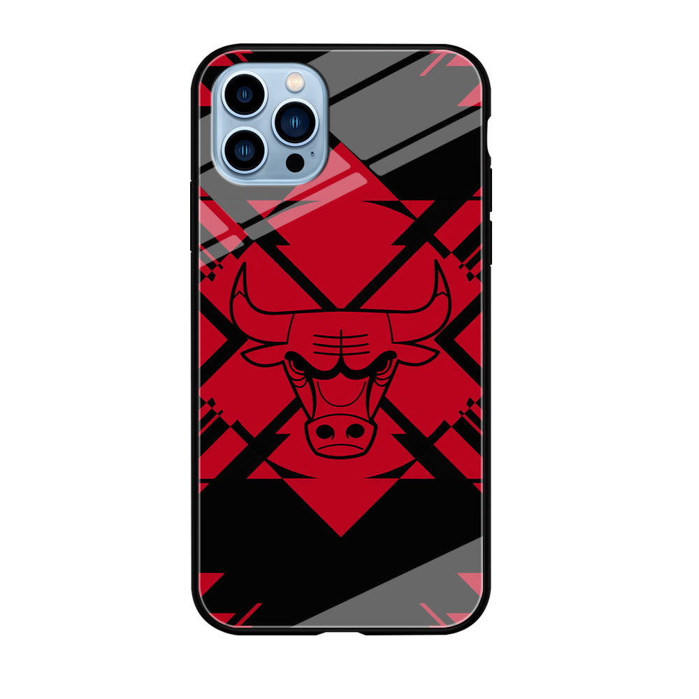 Chicago Bulls Aesthetic Shapes iPhone 12 Pro Case