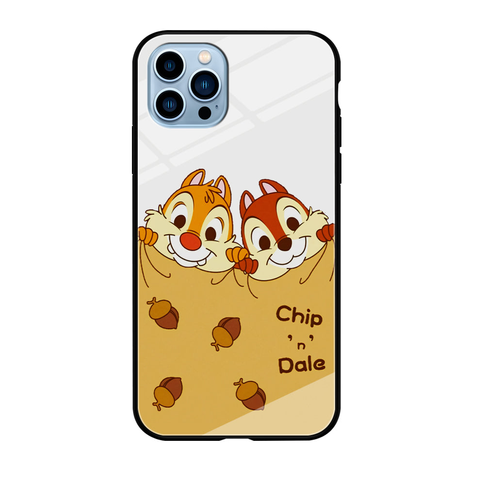 Chip And Dale Winter Blanket iPhone 12 Pro Case