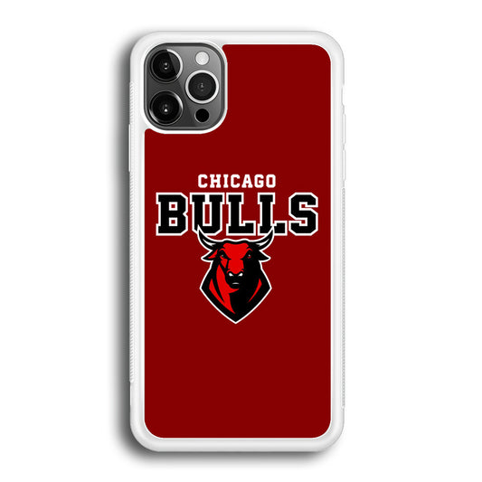 NBA Chicago Bulls Red Logo iPhone 12 Pro Case