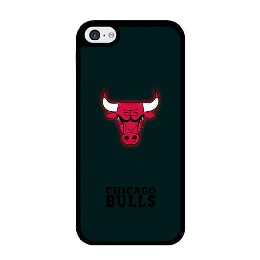 NBA Chicago Bulls Midnight Blue Logo iPhone 5 | 5s Case - Ezzystore